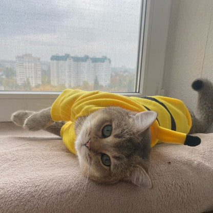 Pet Pikachu Costume | For Dogs and Cats