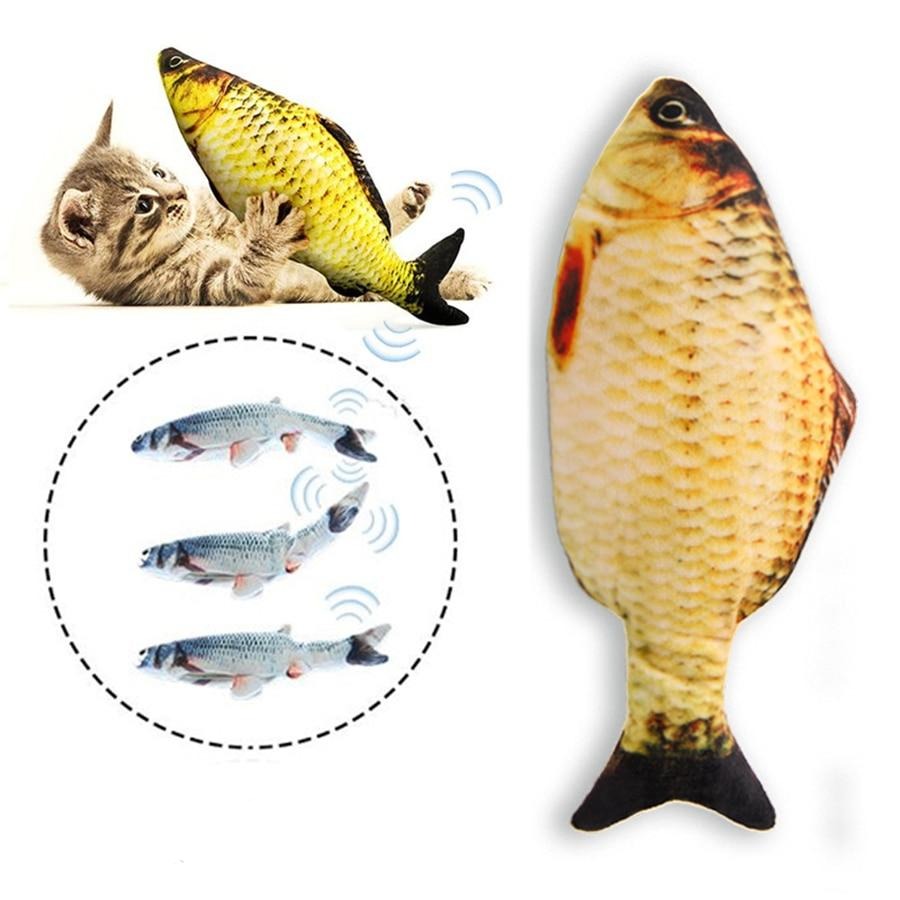 Poisson rigolo | Pour chat