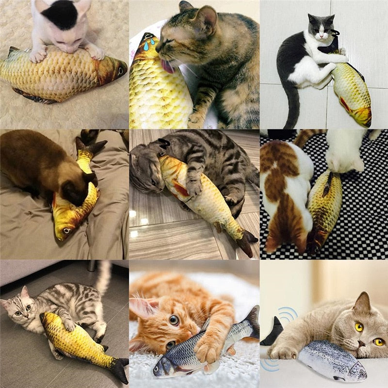 Poisson rigolo | Pour chat