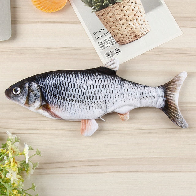 Poisson rigolo | Pour chat