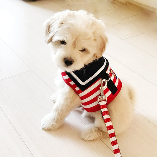 Navy Harness | for Dogs and Cats