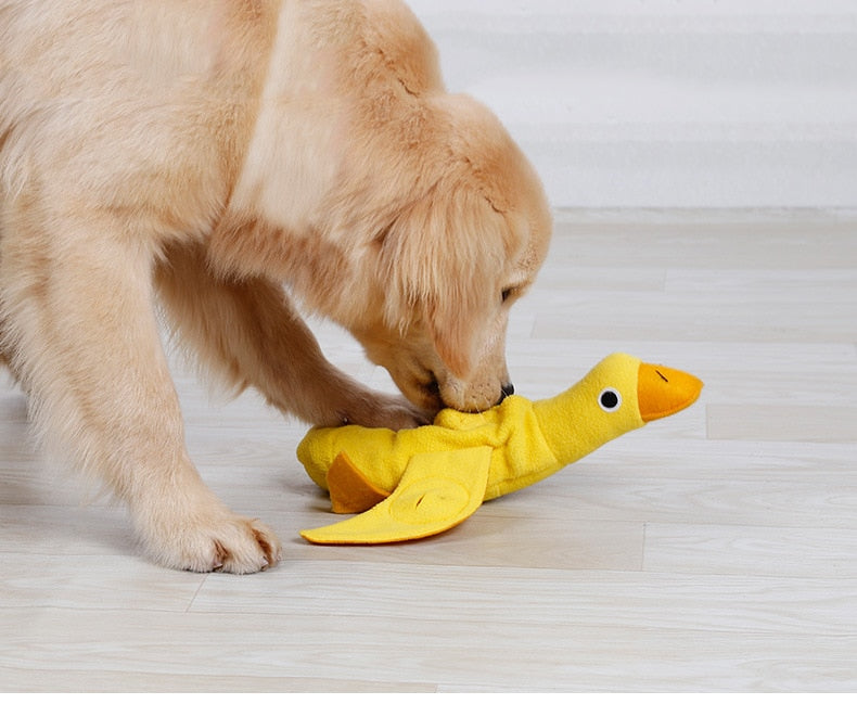 Interactive Duck | For Dogs